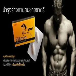 ชาติอาชา