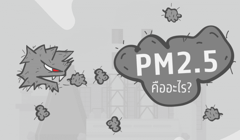 รับมือPM2.5 โดยจิ๋มกระป๋อง
